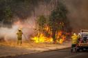 Bushfire Threat Assessments and Planning in Sydney logo